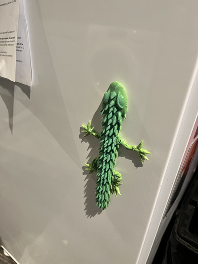 magnete flessibile lucertola by davidkelly021 giocattoli giochi frigo stampa in posto drago 3d print model - Mito3D