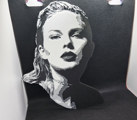 taylor swift reputation - 4 color w filament 1 at a time relief topography by triplegworkshop art models music star beauty wallhanger wallart country 2dwallart celebrity taylorswift 3dwallart grayscale 3d print model - Mito3D
