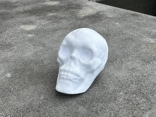 human skull decoration by du4 3d education biology bone os party halloween 3d print model - Mito3D