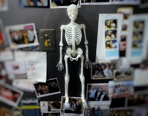 esqueleto refrigerador imán by bufón 3d casa modelos humano magnético huesos hueso 6x3 6x3mm 3d print model - Mito3D