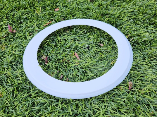 wonder ring by triplegworkshop toys & games outdoor flying frisbee frisbeegolf ultimatefrisbee throw 3d print model - Mito3D