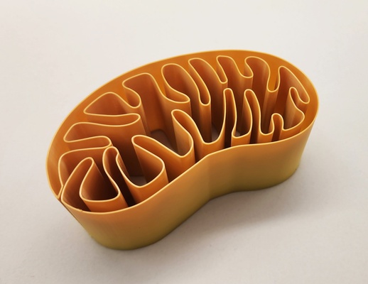 mitokondri sarmal vazo by üçlü atölye sanat heykeller organizatör depolama vücut bilim organizasyon spiral sağlık hücreler gösteri organ 3d print model - Mito3D