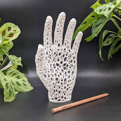 bionisch hand kunst standard by schichtenmodelle skulpturen dekoration 3d mauer original dekor montieren voronoi skulptur struktur rahmen pla kreativ anatomie zimmer einzigartig anzeige atemberaubend 3d print model - Mito3D