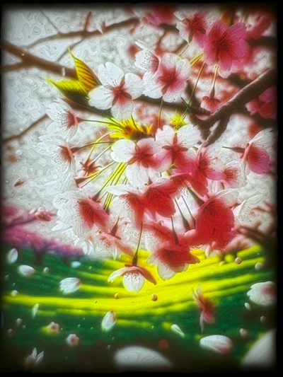 taş ocağı kiraz çiçek açması by mikethespike sanat 2d cmyk 2dart hafif kutu hafif sanat ağaçlar çiçekleri çiçeği pembe yeşil renk renkli 3d print model - Mito3D