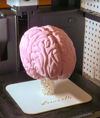 humano cerebro voronoi estante soporte by gabb 99 arte esculturas grande 3d print model - Mito3D