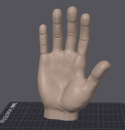 hand real size remixed by leealpha7 education biology 3d print model - Mito3D