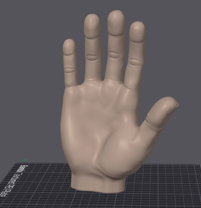 hand real größe neu gemischt by leealpha7 bildung biologie 3d print model - Mito3D