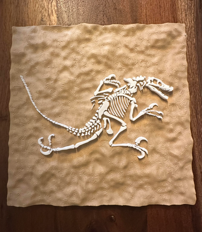 dinosaure fossile mur décor by jared fenster ménage 3d print model - Mito3D