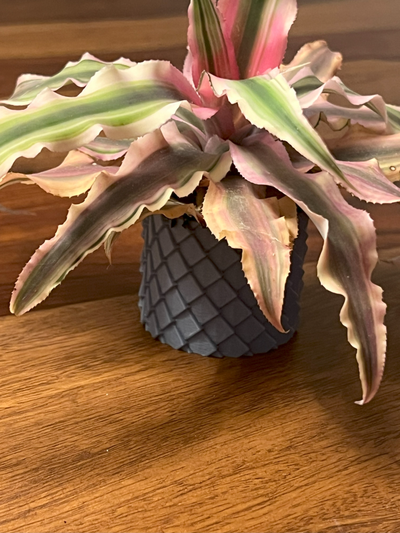 dragon balance pot planteur remix remixé by thomas artisanat ménage décor 3d print model - Mito3D
