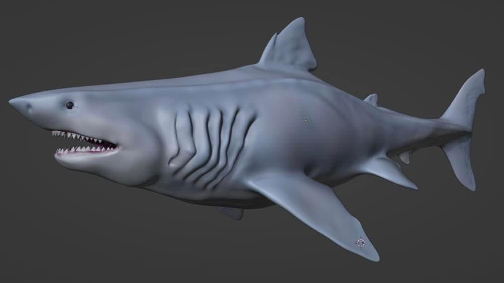 megalodon gerçekçi by finkens14 sanat heykeller meg köpekbalığı harika beyaz tarih öncesi 3D print model - Mito3D