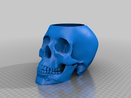 skull pot remixed by thebraybray art sculptures 3d print model - Mito3D