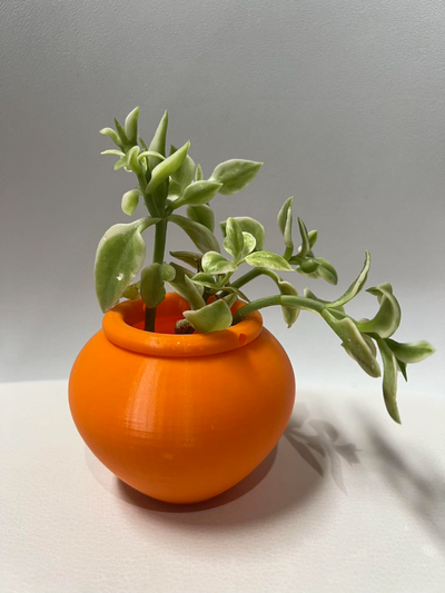 pendaison succulent pot by tbobwu ménage décor planteur succulente panier 3d print model - Mito3D