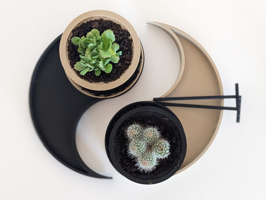 zen bahçe birleştirir yin yang bitki tencere organik by rakip kağan ev halkı dekor destek 3d print model - Mito3D