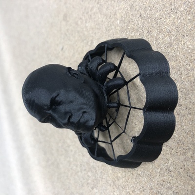 e3d aranha rocha remixado by linkdesign 3d impressora teste modelos rede interesse rocha dwaynejohnson dwayne the rock johnson e3dspider 3d print model - Mito3D