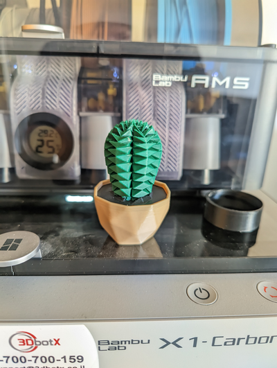 cactus succulent collection remixed by dalet11 art sculptures tree ams 3d print model - Mito3D