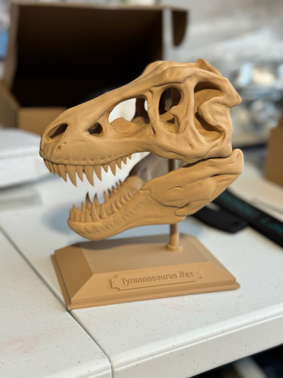 t rex cranio base remixato by davglass miniature animali trex dino dinosauro trexremix 3d print model - Mito3D