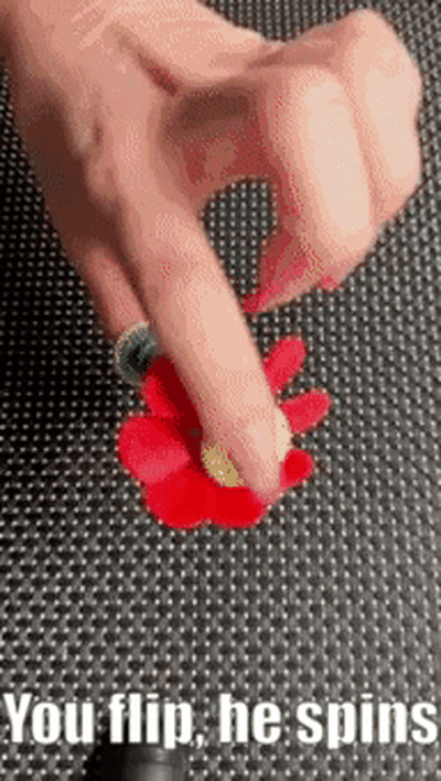inquietação flor by pedra ferramentas aparelhos engrenagens brinquedos crianças gadget arte cor ams impressão printinplace 3d print model - Mito3D