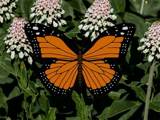 monarch butterfly lightbox by love prints art models milkweed milk weed flower bloom mega megabloom migrate light box native america american california west westcoast 3d print model - Mito3D