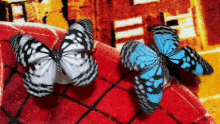 rotazione farfalla equilibrio by mail iou formazione scolastica modelli regalo gioielleria giocattolo installazione pittura scultura festival divertente contento compleanno agitarsi scienza 3d print model - Mito3D