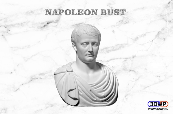 napoleón busto by 3dwp nl arte esculturas 3dscan olerlárico escanear 3d print model - Mito3D