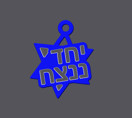 yahad nenatseah remixato by dalet11 arte moneta distintivi israele israeliano mi dispiace barzel we vincere ams guerra 3d print model - Mito3D
