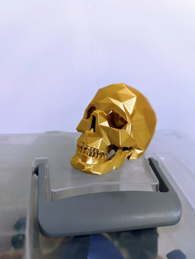 poly skull remixed by dalet11 art sculptures bone 3d print model - Mito3D