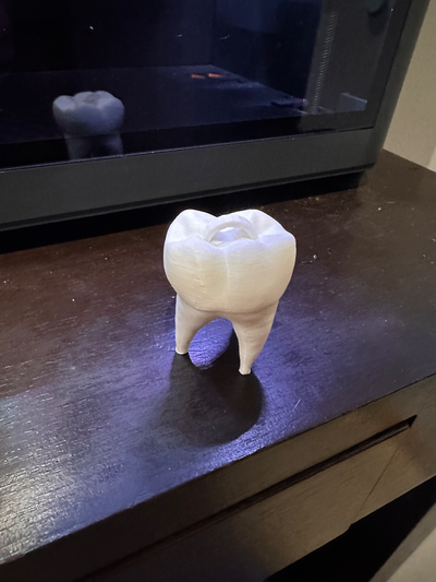 tooth ornament by byer1999 art sculptures 3d print model - Mito3D