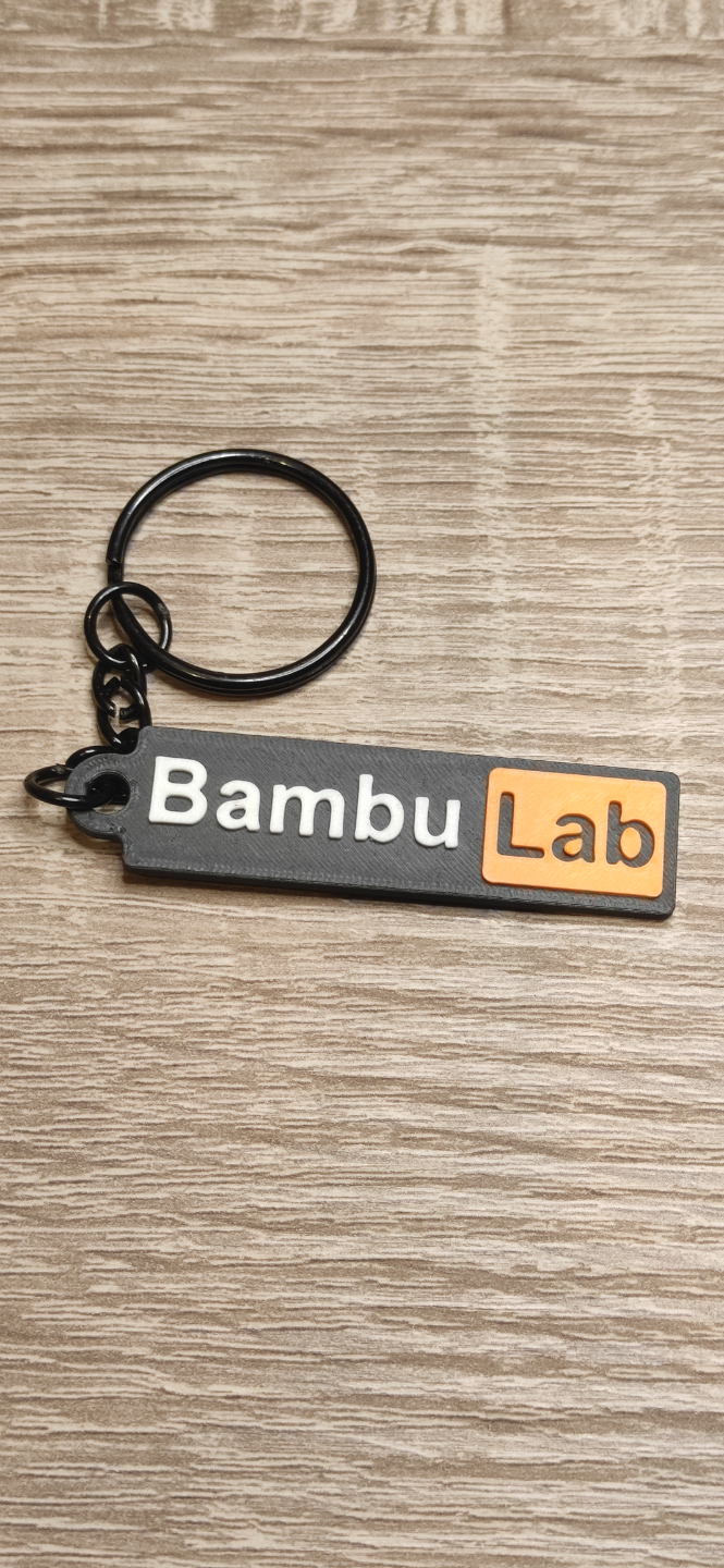 bambulab logo porte clés ph style by carlson art panneaux logos clé bambu laboratoire accessoire 3D print model - Mito3D