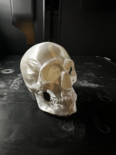 anatomico cranio remixato by caos come formazione scolastica biologia arte ossatura osso anatomia umano corpo 3d print model - Mito3D