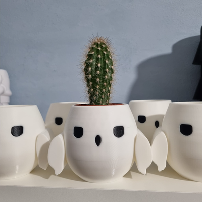 hedwig vase by simi haushalt dekor harry töpfer geschenk minimal drucken potter pflanze hogwarts wütend blume topf weihnachten 3d print model - Mito3D