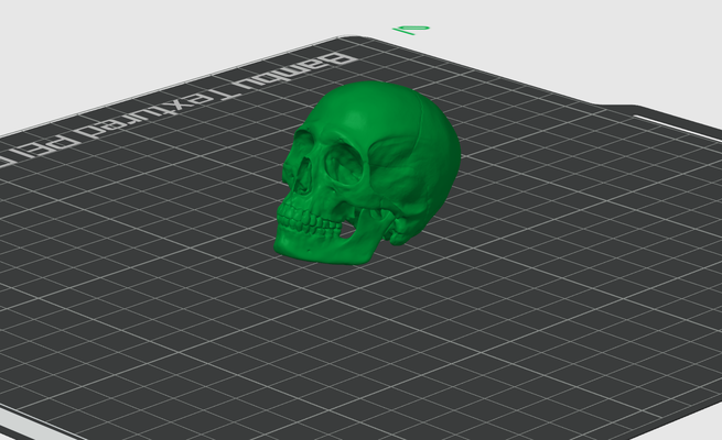 cranio by tyler johnston arte sculture 3d print model - Mito3D