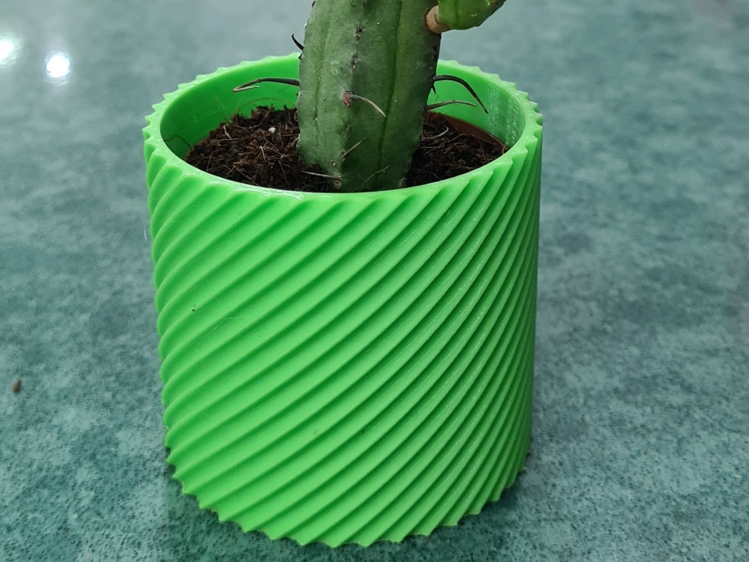 mini cacto plantador by slavik mis 1984 ve4 casa decoração organizador 3d flor jardim vaso planta organização vasos flores plantadores cactos plantar panela conjunto 3D print model - Mito3D