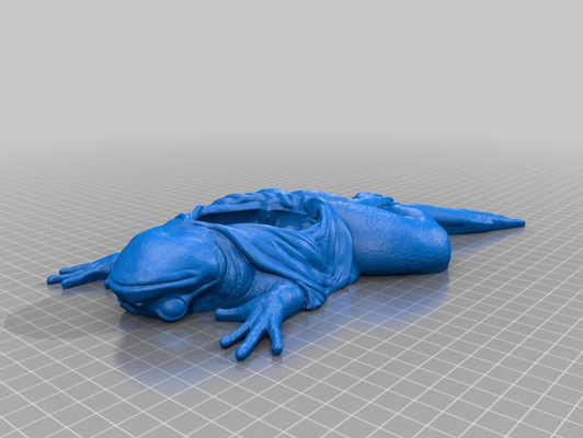 dissected frog body by artzbylyni education models model disscetion 3d print model - Mito3D