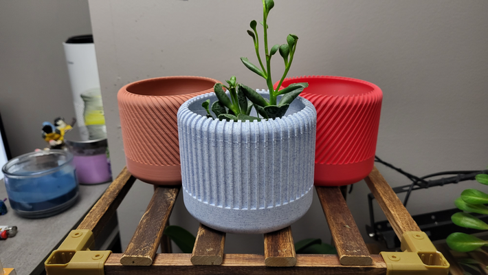 spiral pflanzer sammlung by savagelau haushalt garten topf innen pflanze container saftig sukkulentenhalter saftiger 3d print model - Mito3D