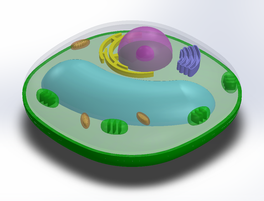 by quannm9420 éducation biologie 3d print model - Mito3D