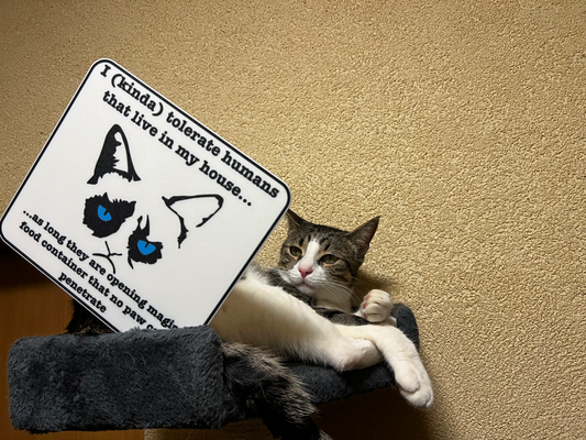scontroso gatto cartello by arbox24 arte segni loghi animale mostro 3d print model - Mito3D