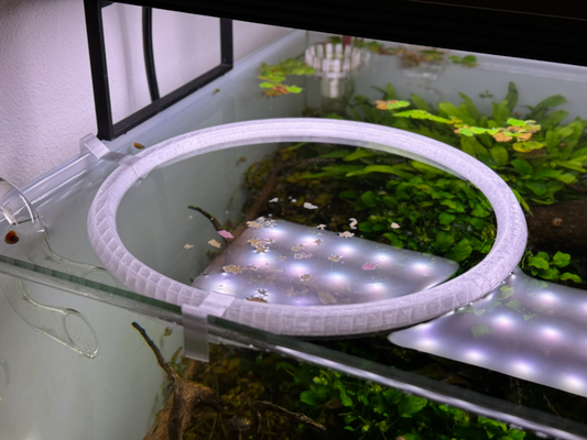 peixe tanque alimentando anel aquário skimmer proteção by morro abaixo soluções casa animais estimação ajudante superfície água alimentação 3d print model - Mito3D