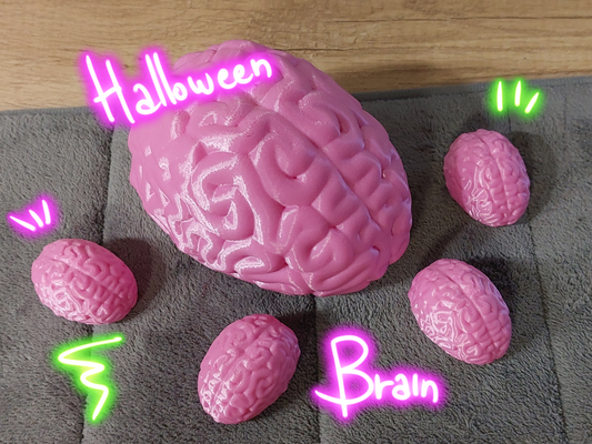 humain cerveau by pandart3d éducation biologie halloween 3d print model - Mito3D