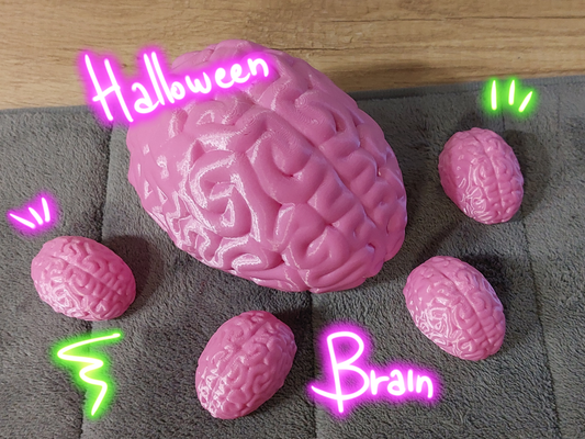 human brain by pandart3d education biology cervello umano halloween 3d print model - Mito3D