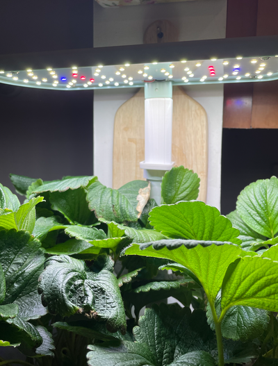 aerogarden raccolto crescere luce extender by digbysmith13 stl domestico giardino coltura idroponica 3d print model - Mito3D