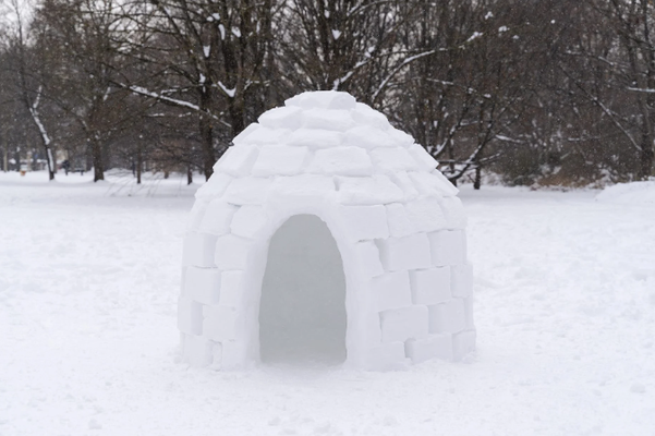 snow brick mold outdoor fun - igloo fortress by 3d print masters hub toys & games man gadget a1 bambu project 3d print model - Mito3D