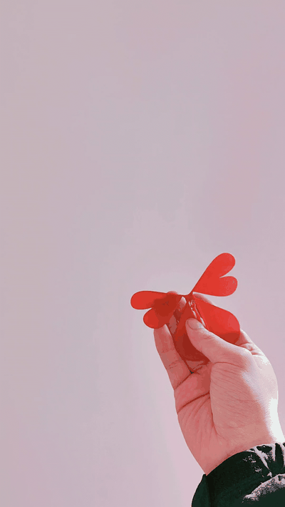 love voar by aha 3d brinquedos jogos ar livre borboleta folheto brinquedo presente elástico vento up borracha banda diversão hélice 3d print model - Mito3D