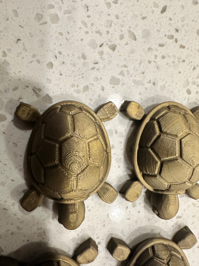 tatlı bebek kaplumbağa ayarlar yeniden karıştırılmış by ağ döngüsü minyatürler hayvanlar 3d print model - Mito3D