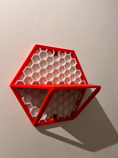x3d hsw display shelf multicolor remixed by dutchworkx3d art models honeycomb shelves 3d print model - Mito3D