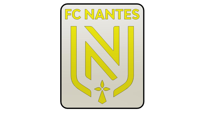 fc nantes boite lumière by scaphandre autonome loisir diy électronique led boîte lampe football france 3d print model - Mito3D