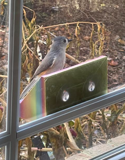 window bird feeder by joshualoebenberg2 household garden windowbirdfeeder birdfeeder nature 3d print model - Mito3D