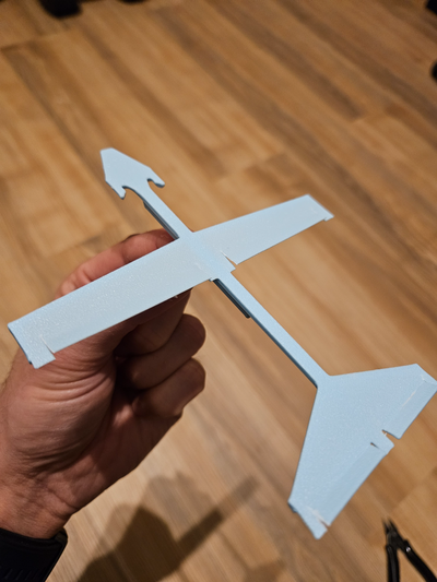 hava planör kolay yazdır hızlı eğlence by 3dprintcess hobi kendin yap araçlar uçak flugzeug uçuş ufo luft nesne fırlatmak uçmak kapalı dış mekan ince 3d print model - Mito3D