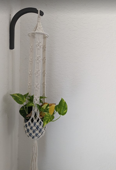 elegante pianta parete appendiabiti by sparq domestico arredamento plantholder wall mount 3d print model - Mito3D