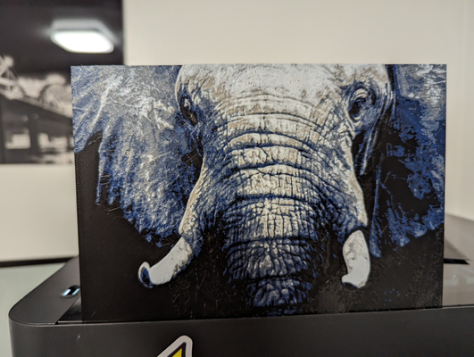 afrikalı fil baş şapka dövmesi by baba emekli iv sanat 2d renk dövme colo yazdır baskı katman değişiklik yükseklik boyama filler hayvan 3d print model - Mito3D