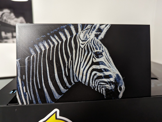 zebra hueforge by papa emeritus iv art 2d animal hue forge multi colo color print printing layer change height painting blending calibration africa 3d print model - Mito3D